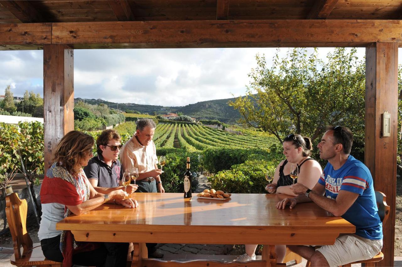 Casa Nel Vigneto Con Vista Mare Lejlighed Magomadas Eksteriør billede